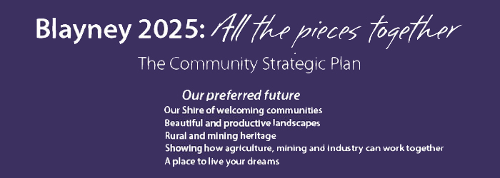 Community-Strategic-Plan-700x250