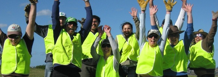 Volunteering-Banner-700x120.jpg
