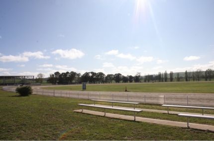 Level 3 Showground