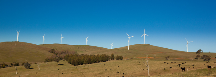 Windfarm-Banner-Image-700x250.jpg