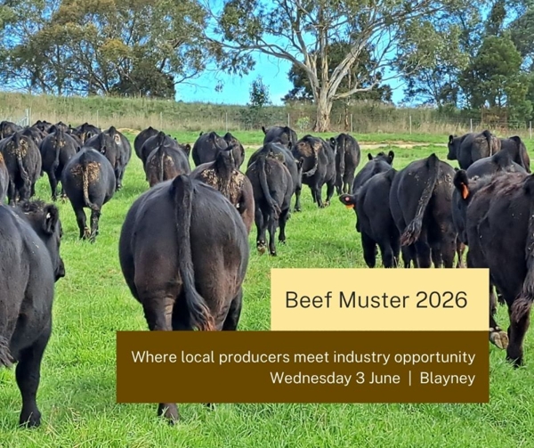 Beef Muster 2026