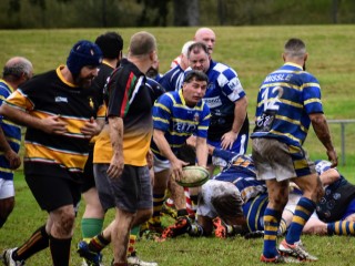 OldBoysRugby-320x240